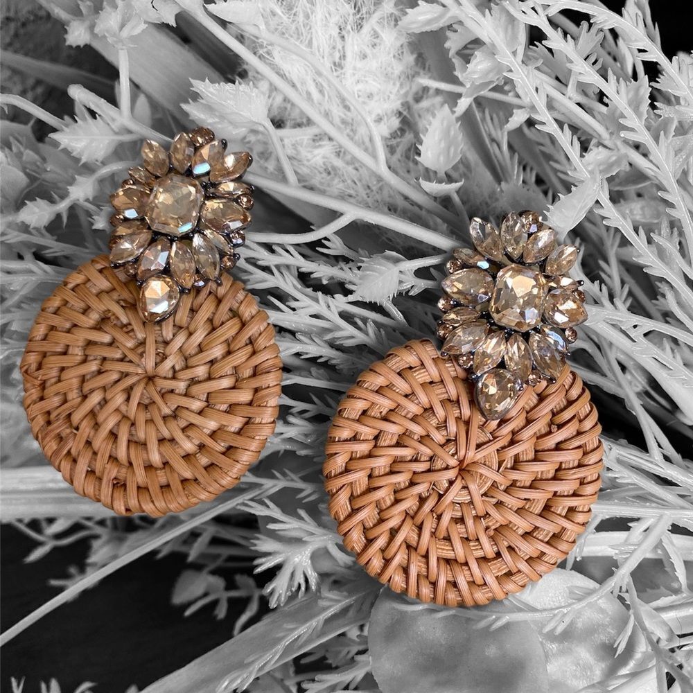 Fashion jewelry earrings